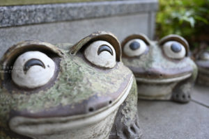 ［６］ごきげんなカエルの置物
