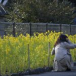 ［６］日比谷公園で見つけた黄色い春の訪れ