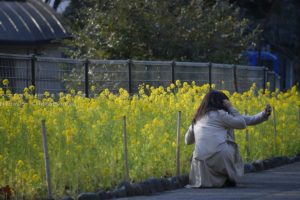 ［６］日比谷公園で見つけた黄色い春の訪れ