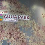 ［６］maxellアクアパーク品川でお花見を楽しむ