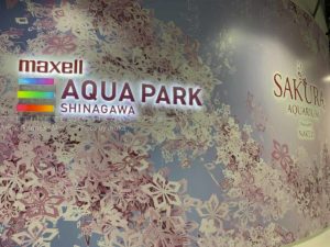 ［６］maxellアクアパーク品川でお花見を楽しむ
