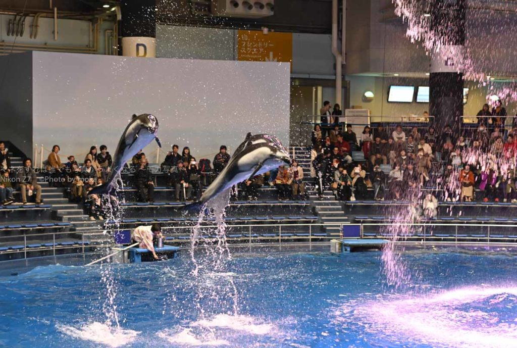 ［６］Nikon Z7でイルカのジャンプを撮影
