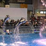 ［６］Nikon Z7でイルカのジャンプを撮影