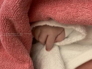 ［６］かけがいのない命、第２子誕生