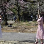 ［６］桜の木の下で撮影タイム♪