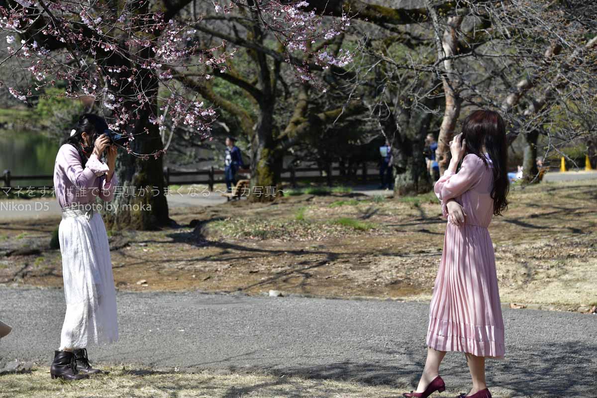［６］桜の木の下で撮影タイム♪