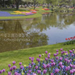 ［６］過去の作品を見て、次の撮り方を考えよう！！