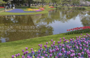 ［６］過去の作品を見て、次の撮り方を考えよう！！