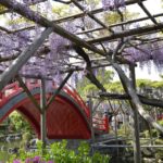 ［６］亀戸天神と藤の花とスカイツリー