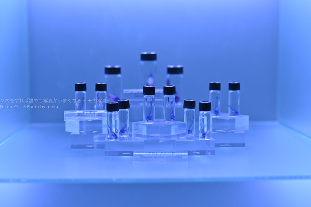 ［６］アクアパーク品川で見つけた科学！？