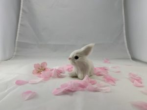 ［6］ニコンプラザ新宿の白ウサギ！