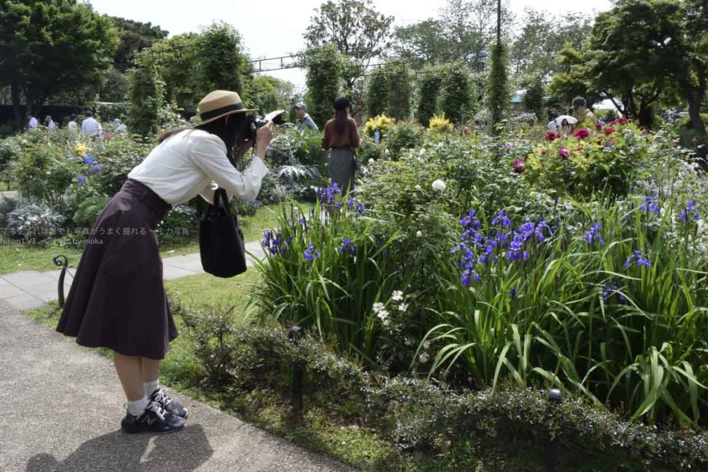 ［６］春の花とベイブリッジを一緒に撮ろう！