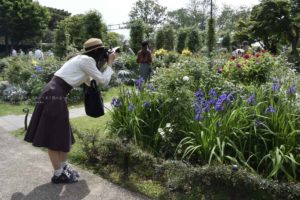 ［６］春の花とベイブリッジを一緒に撮ろう！