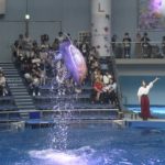 ［６］イルカのパフォーマンスに元気を分けてもらう♬