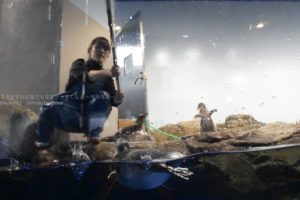 ［6］アクアパーク品川のペンギンは写真に撮りづらい！？