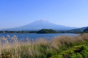 ［６］大石公園から見る富士山に魅せられて！！