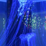 ［６］クラゲの傘に降り注ぐ色とりどりの光の玉