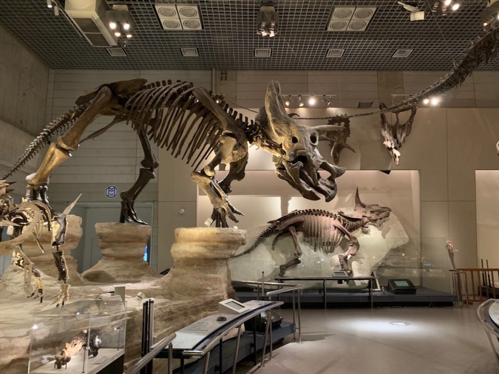 ［６］GWに貸切状態の上野国立科学博物館！！