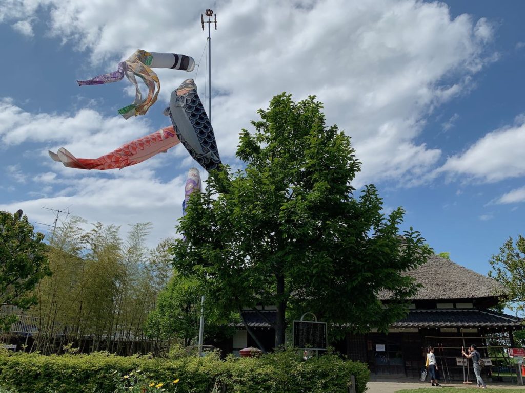 ［６］スッキリ青空を泳ぐ鯉のぼり