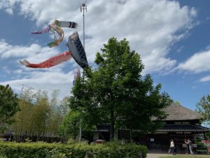 ［６］スッキリ青空を泳ぐ鯉のぼり