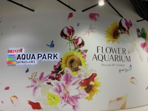 ［６］春のアクアパーク品川で花とのコラボレーションを楽しむ