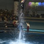 ［６］イルカと一緒に大ジャンプ！！