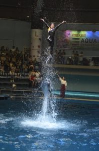 ［６］イルカと一緒に大ジャンプ！！