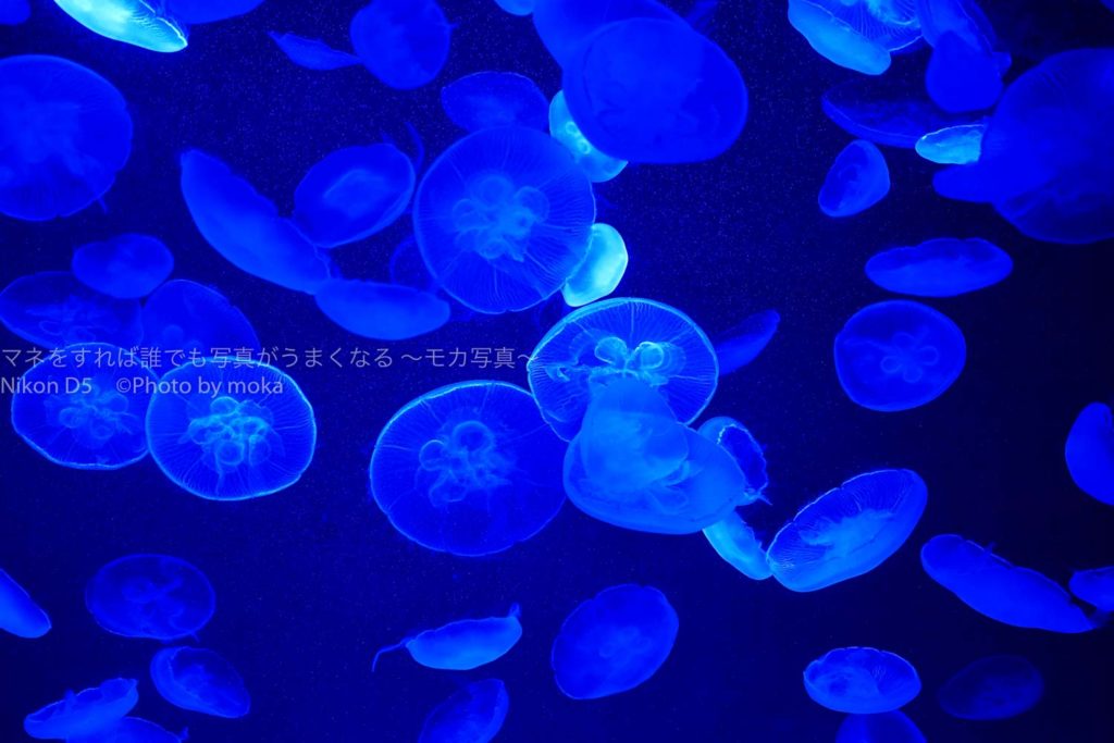 ［６］宇宙空間を漂うクラゲの姿