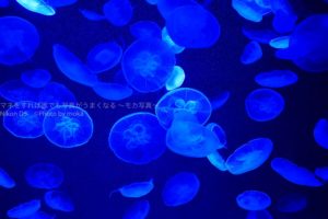 ［６］宇宙空間を漂うクラゲの姿