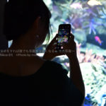 ［６］くらい水族館でもスマホできれいに写真が撮れる！