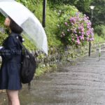 ［６］６月の雨と紫陽花と少女