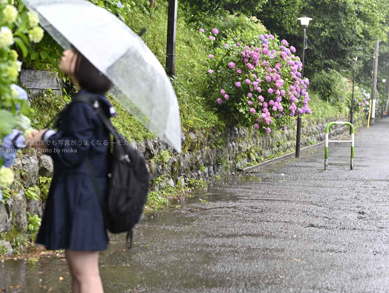 ［６］６月の雨と紫陽花と少女