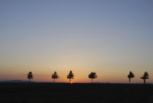 ［６］メルヘンの丘、女満別空港からすぐ近くのビュースポット