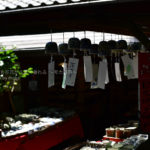 【大人の観光にピッタリ】夏の深大寺で門前町散歩、お昼はお蕎麦!!
