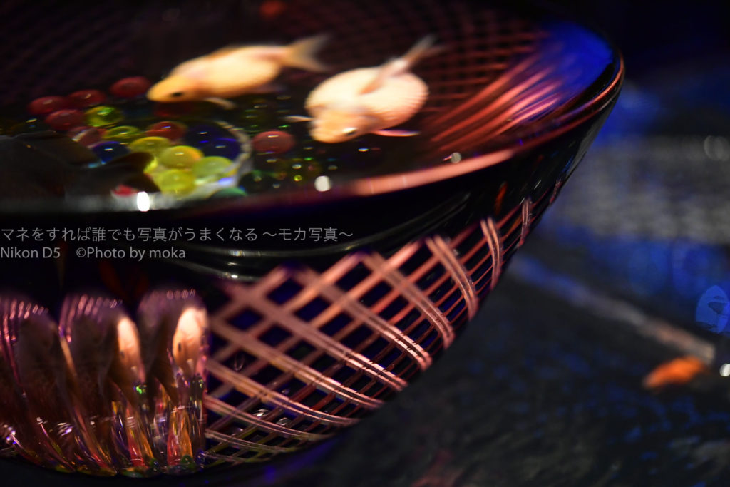 ［６］２０１９年７月５日からアートアクアリウムがついに開催