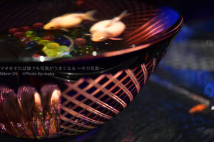 ［６］２０１９年７月５日からアートアクアリウムがついに開催