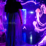 【東京水族館】夜のアクアパーク品川でクラゲに癒やされる
