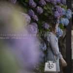 ［６］紫陽花の名所、飛鳥山公園で紫陽花に囲まれてみた