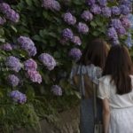 ［６］アジサイの花と記念写真！！