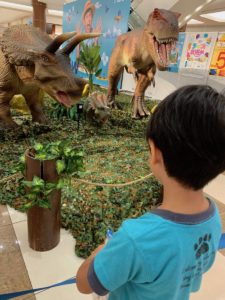 ［６］iPhoneで撮った兄弟写真