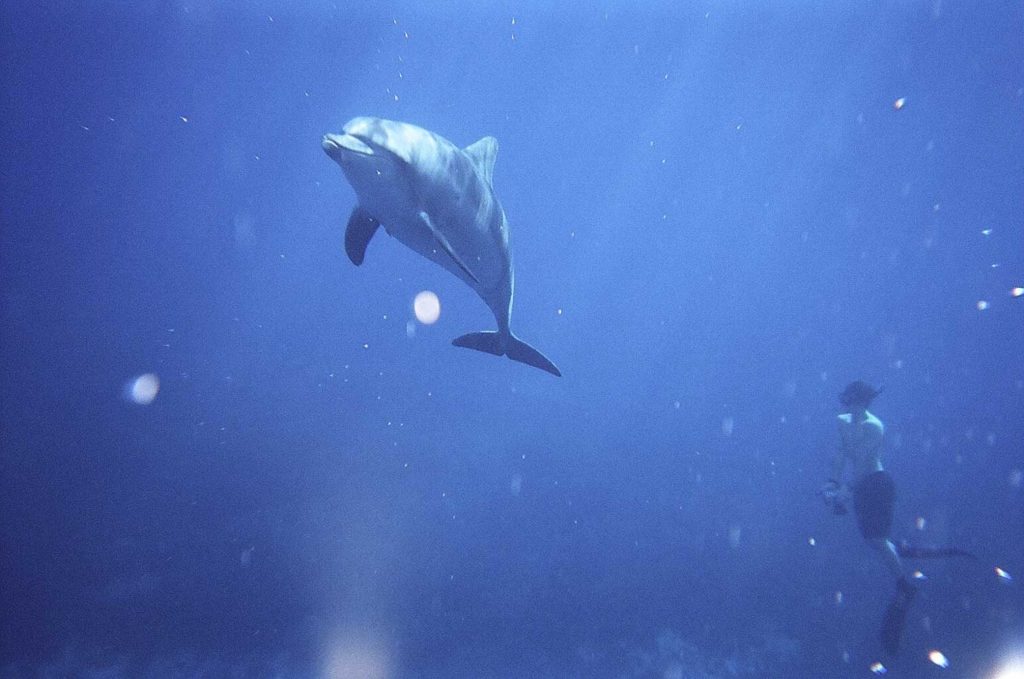 【防水のデジカメ】COOLPIX W150を持って出かけよう