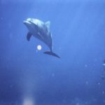 【防水のデジカメ】COOLPIX W150を持って出かけよう