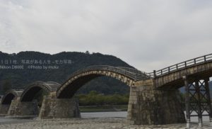 【山口県の観光名所】錦帯橋と岩国城のコラボレーション