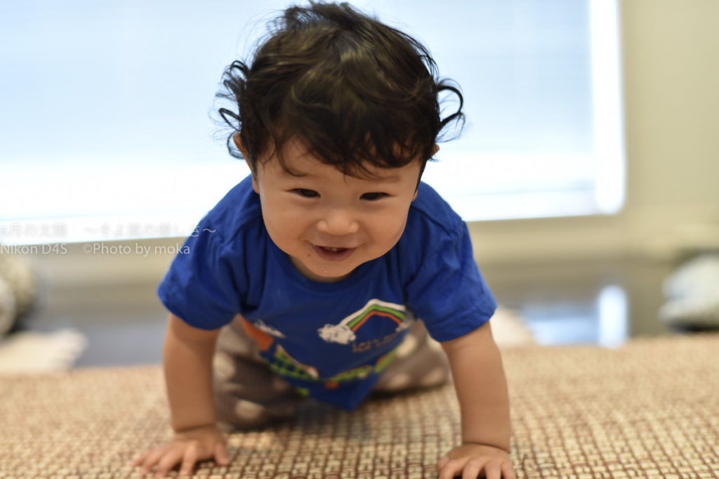 【子供を可愛く写真に撮ろう】ハイハイは絶好のチャッターチャンス