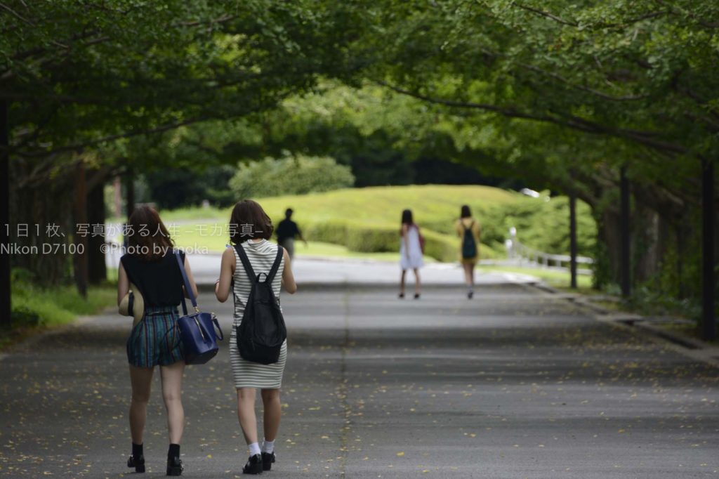 【真夏の昭和記念公園】公園とプールで遊び倒そう！！