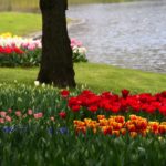 【アクティブDライティングって何？】ニコンの一眼レフカメラの設定