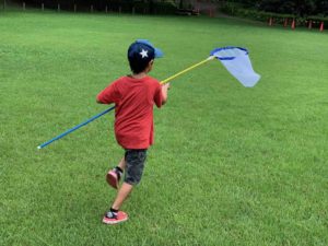 【夏休みの思い出】都内の公園で昆虫採集を楽しむ!!