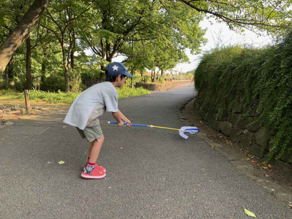 【都内で昆虫採集】真夏の昆虫採集は家族の一大イベント