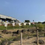 【子供と一緒に農業体験】足立区の都市農業公園で稲刈りをしよう