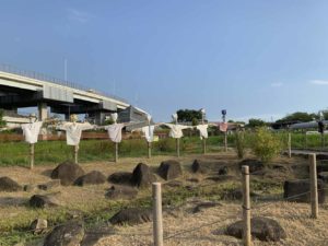 【子供と一緒に農業体験】足立区の都市農業公園で稲刈りをしよう